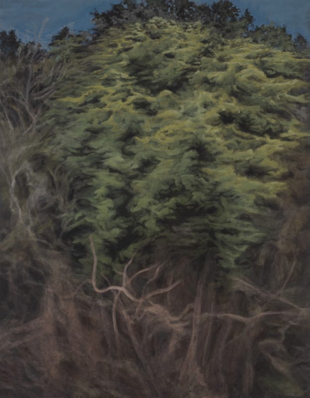 Haze lens 03, 장지에 채색 ,117x91cm, 2023