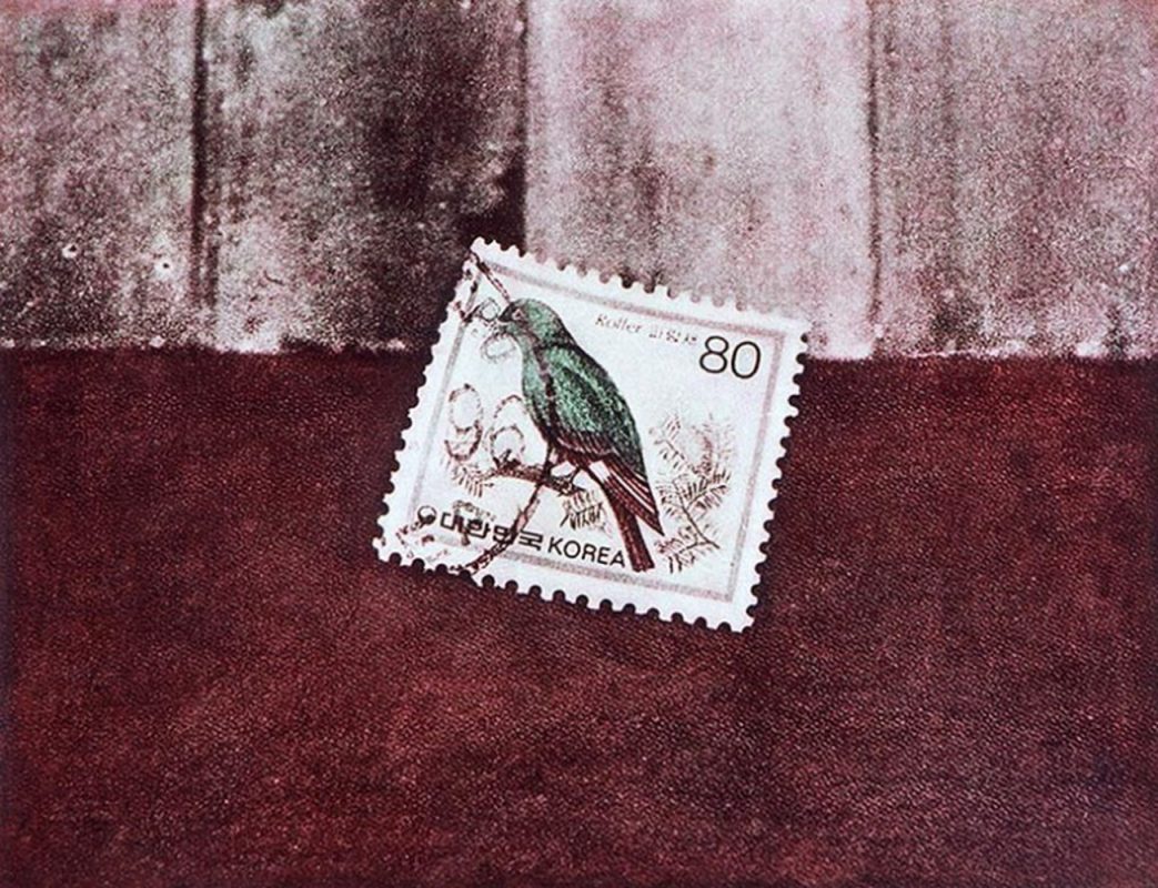 Stamp, Gum Bichromate Print, 37x50cm, 2003(Edition of 5)