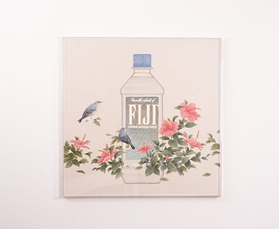 Hibiscus and two blue birds, 장지에 채색, 80×80cm, 2012