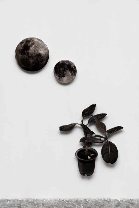 달과 그리고, Mixed media, 가변설치, 2022